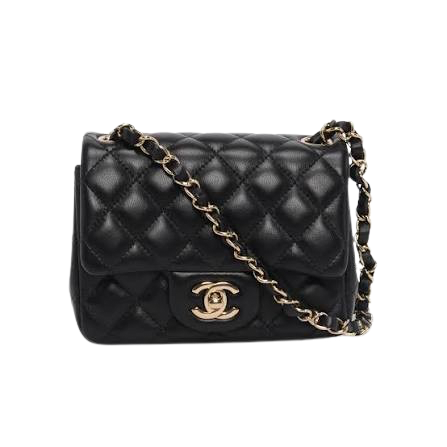 Chanel Bags