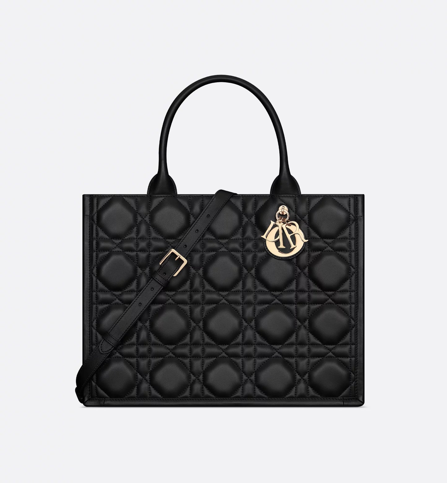 Dior Women's Bag