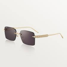 Cartier Glasses
